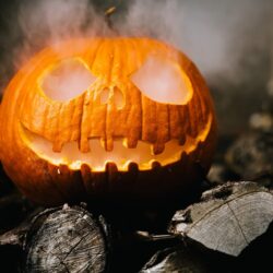 70 Best Halloween Kid Friendly Events 2023