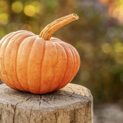 Ultimate Halloween Events for Kids