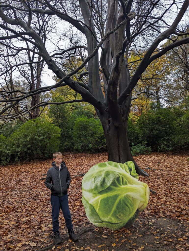 Harewood House Outdoor trail