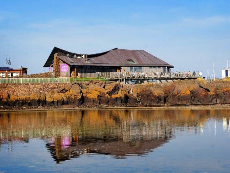 Scottish Seabird Centre