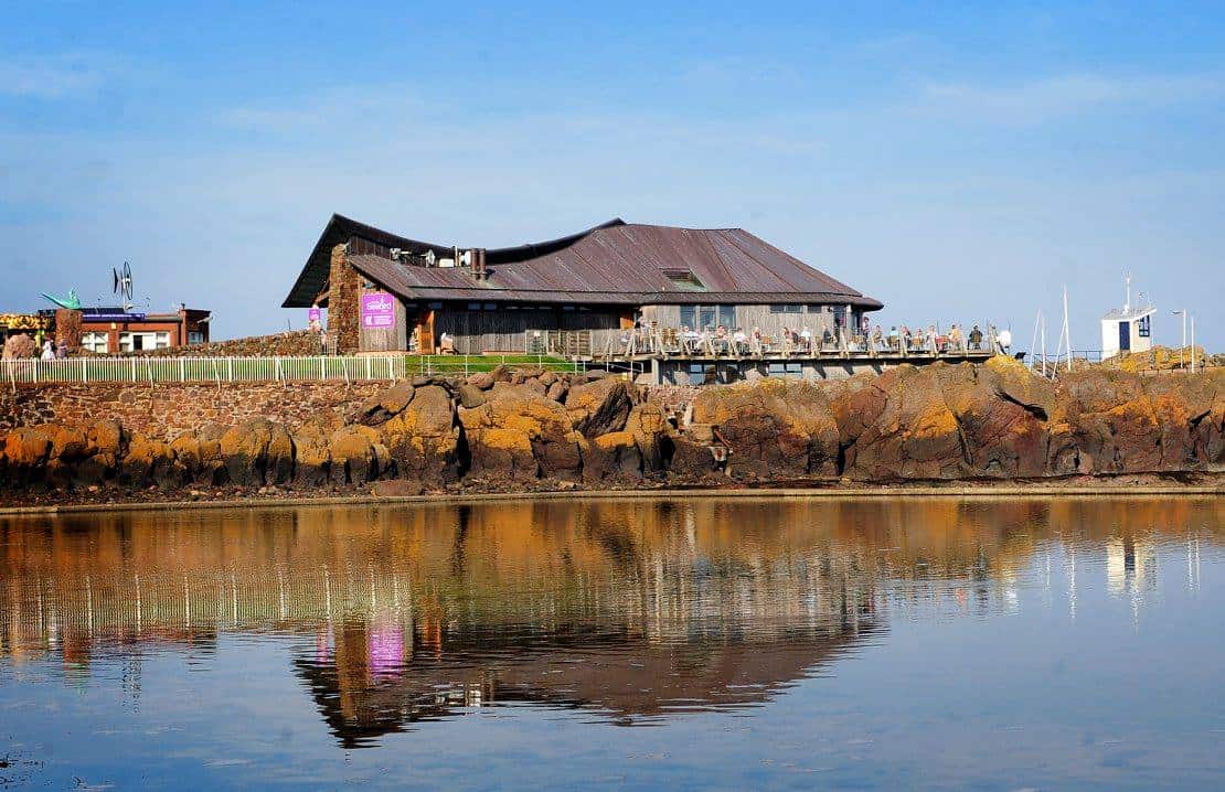 Scottish Seabird Centre