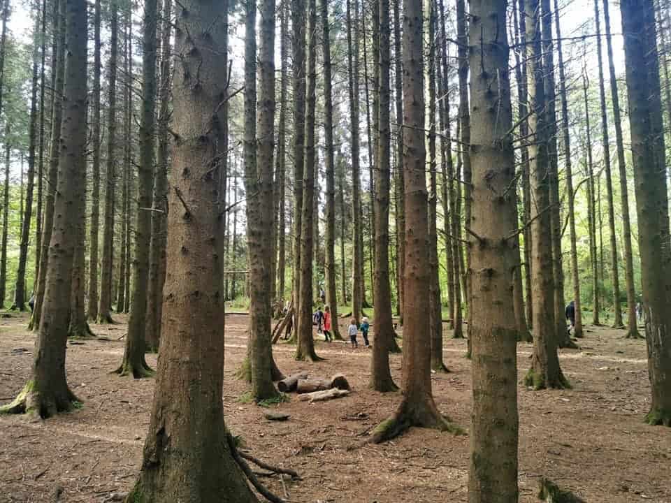 Finlaystone Country Park