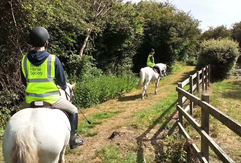 Ride High Equestrian Centre