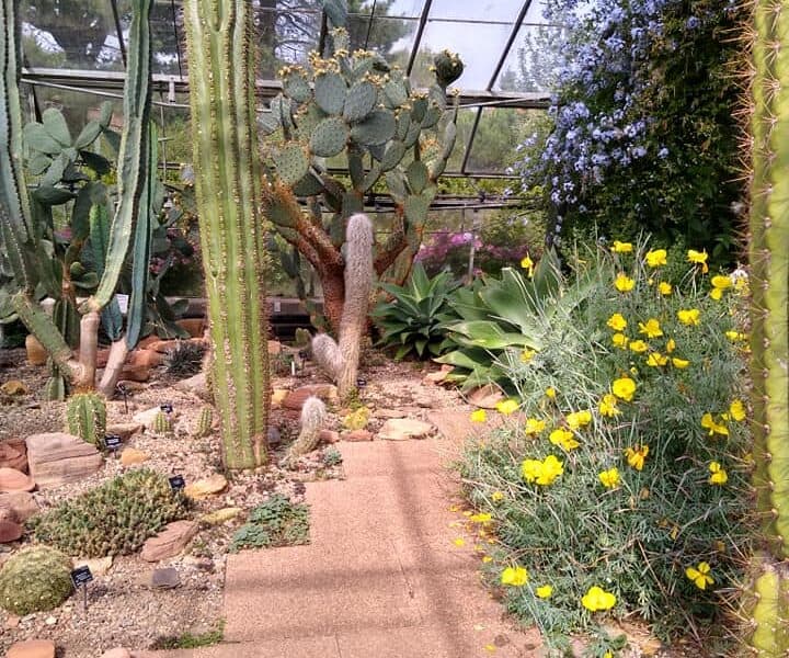 University of Dundee Botanic Garden