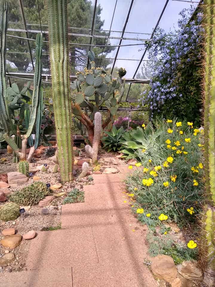 University of Dundee Botanic Garden