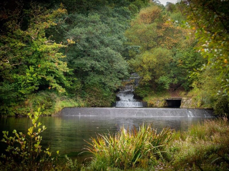 Dare Valley Country Park