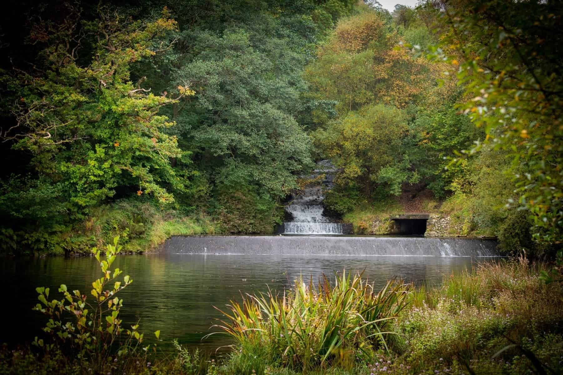 Dare Valley Country Park