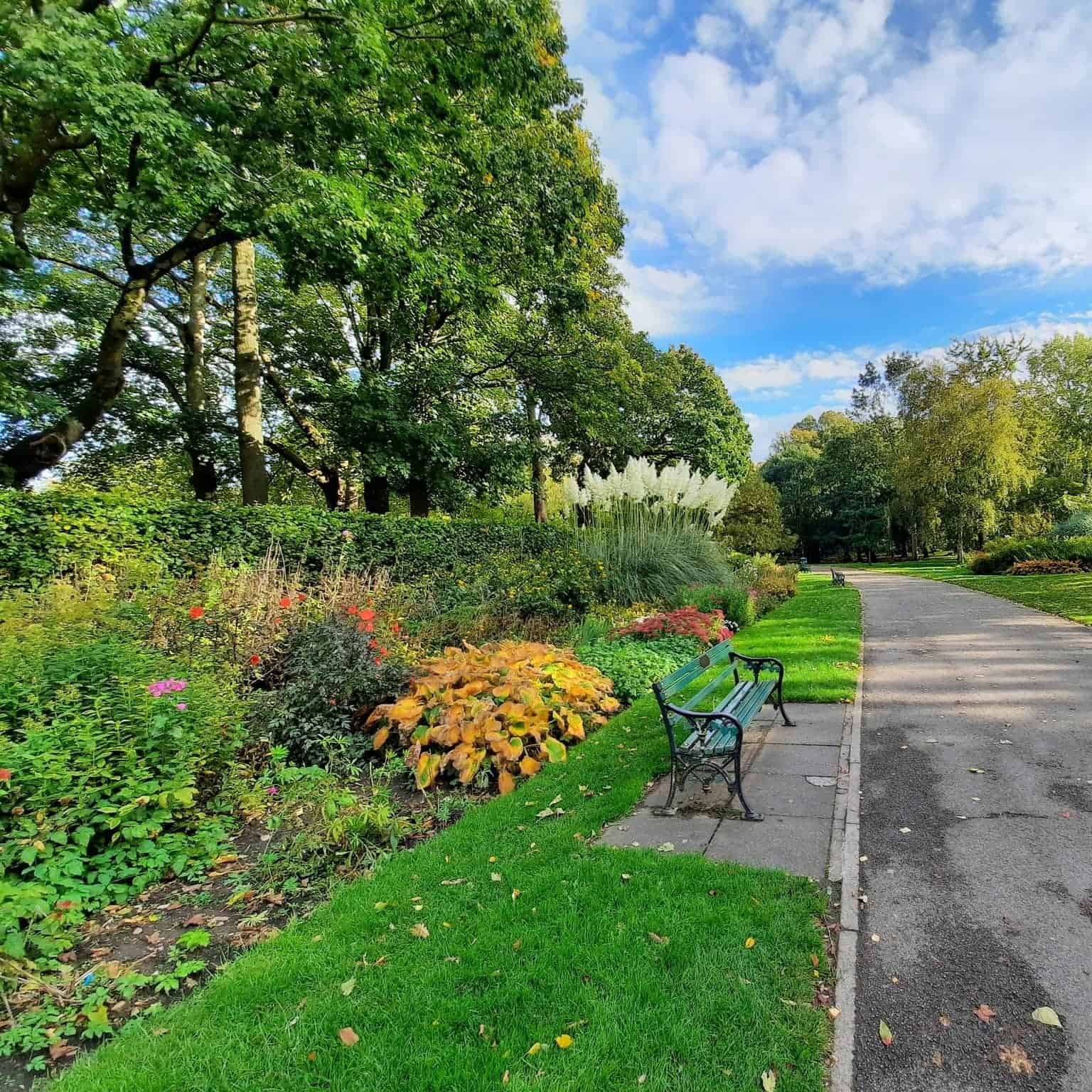 Bute Park