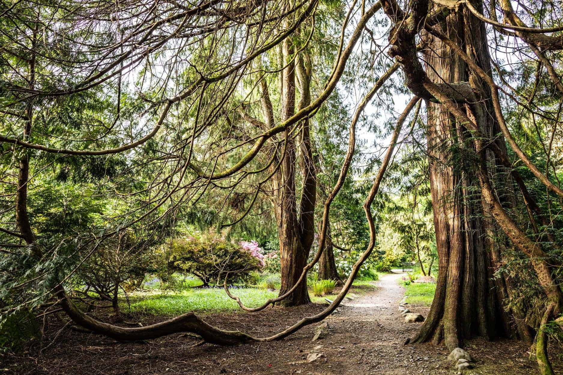 Ardkinglas Woodland Garden