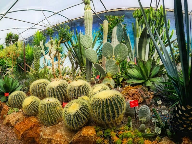 Lullingstone Castle and the World Garden