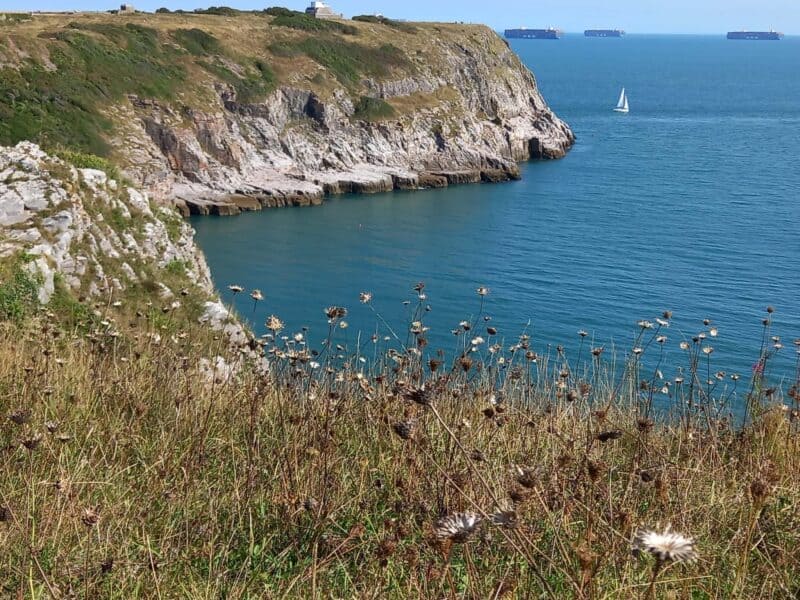 Berry Head Nature Reserve