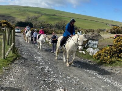 Ballahimmin Riding and Pony Trekking Centre