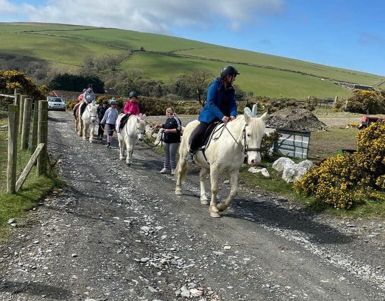 Ballahimmin Riding and Pony Trekking Centre