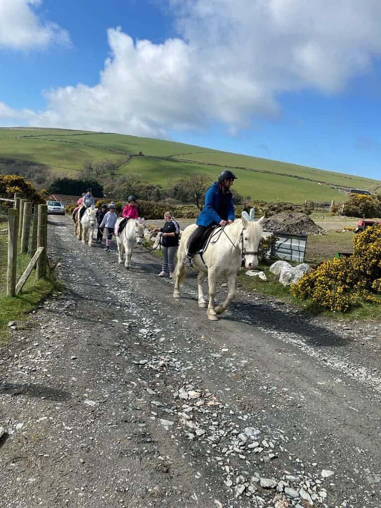 Ballahimmin Riding and Pony Trekking Centre