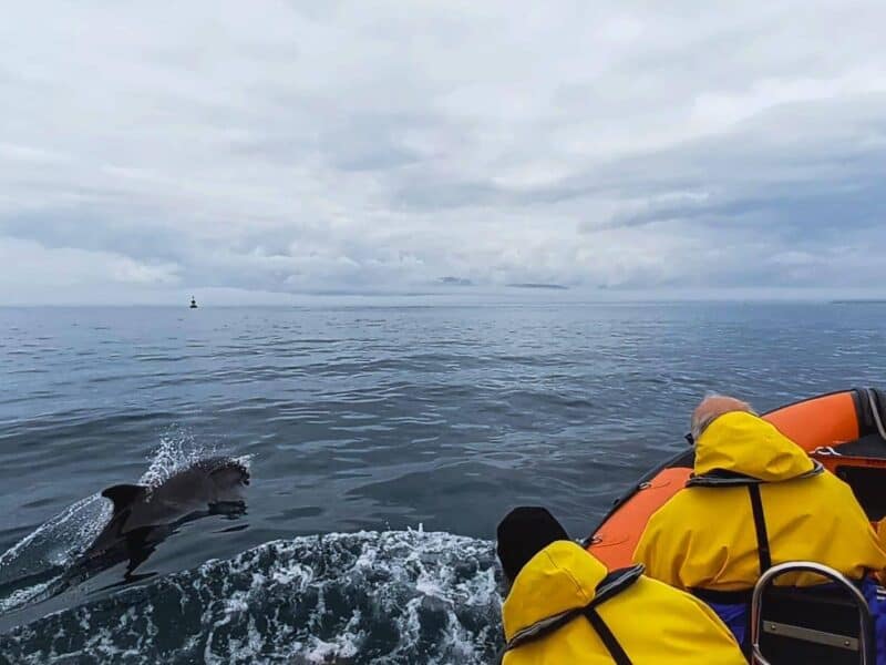 Seafari Adventures