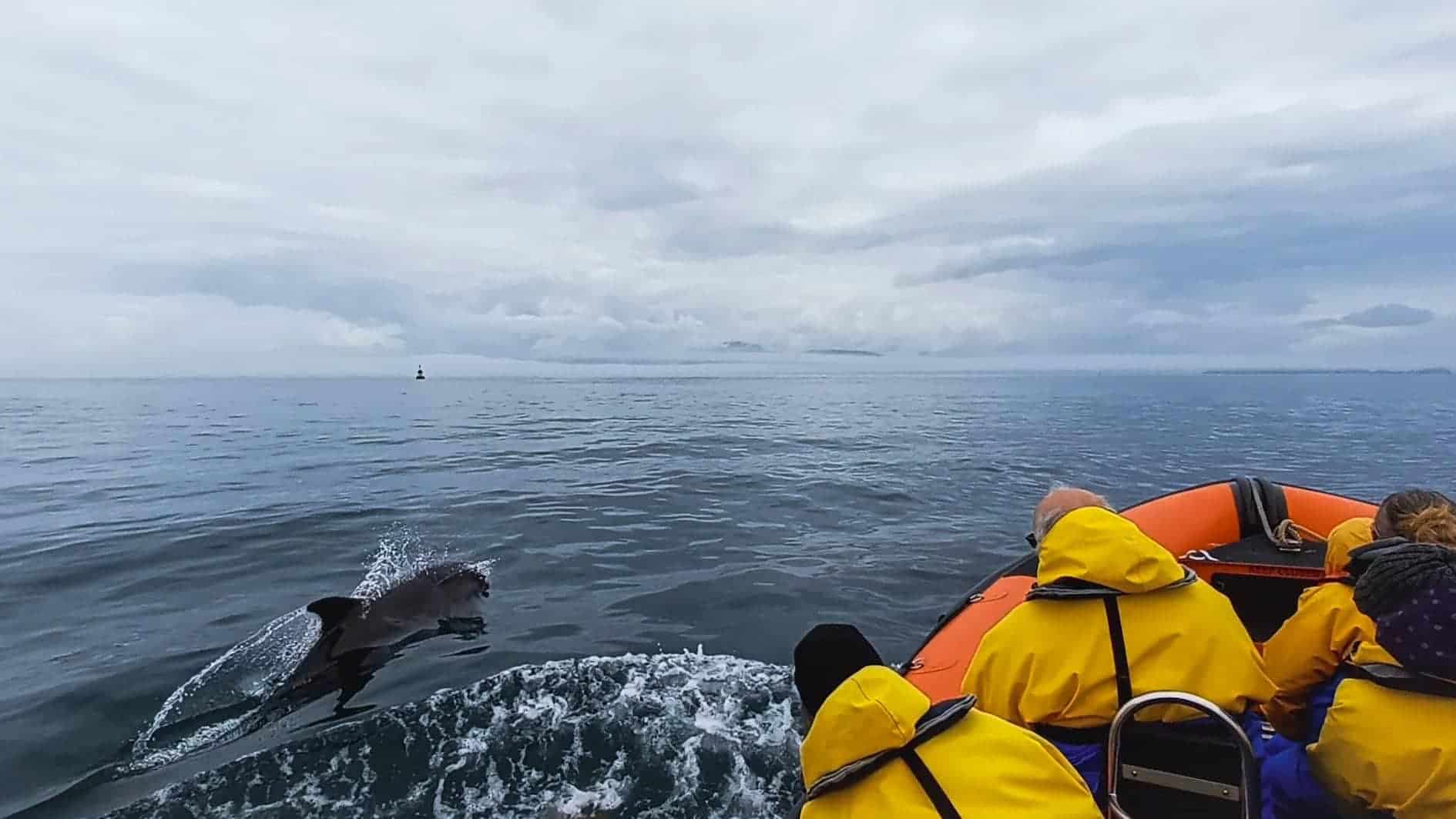 Seafari adventures
