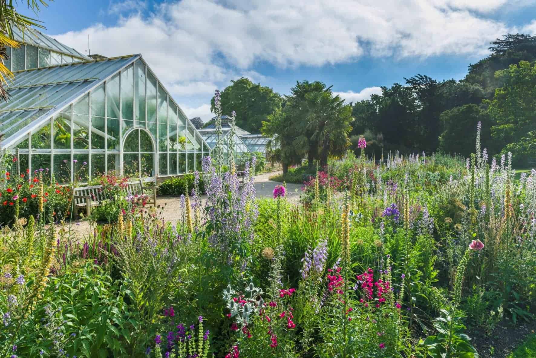 Cambridge University Botanic Garden