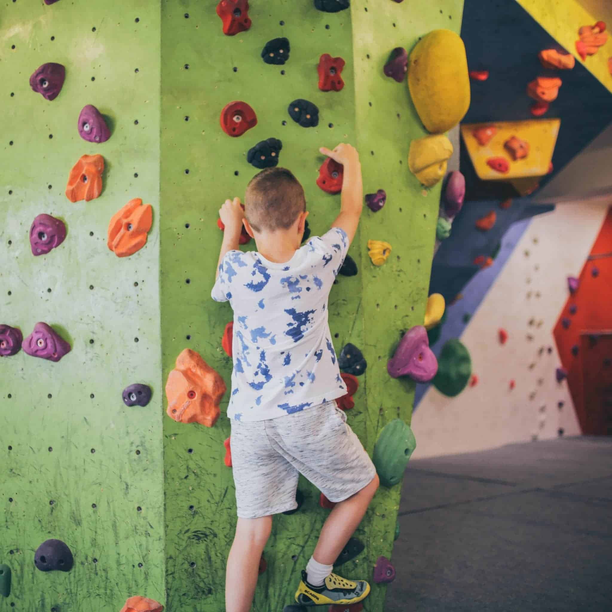 The Climbing Academy The Newsroom