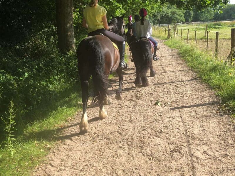 Wellgrove Farm Equestrian