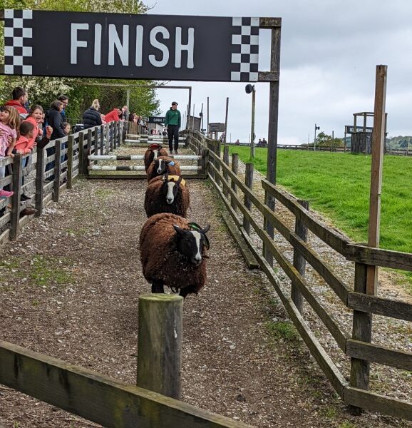 Cannon Hall Farm