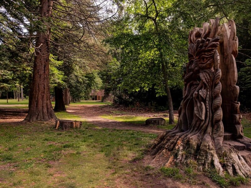 Staunton Country Park