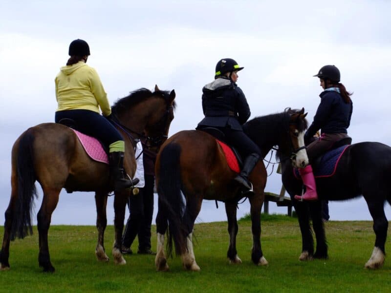 Derbyshire Pony Trekking