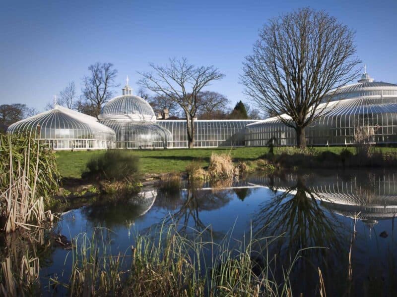 Glasgow Botanic Gardens