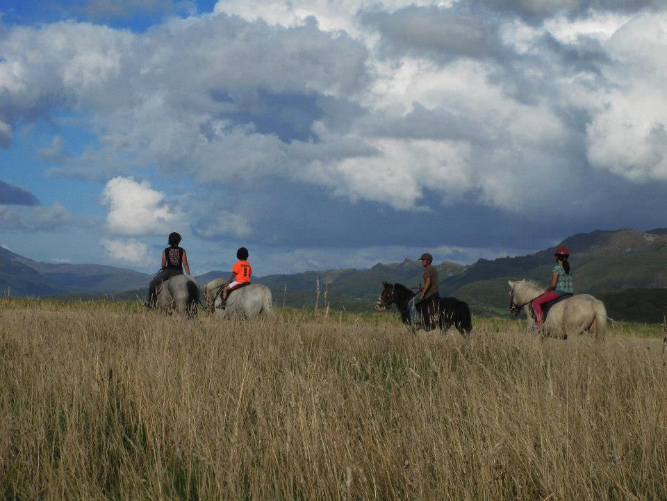 Bwlchgwyn Farm Pony Trekking