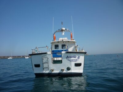 Avante Boat Trips