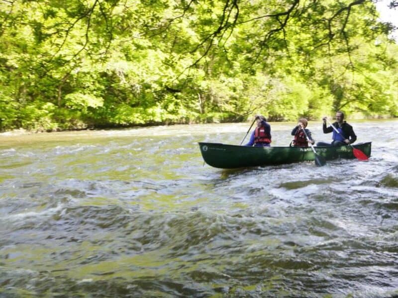 Cardigan Bay Active