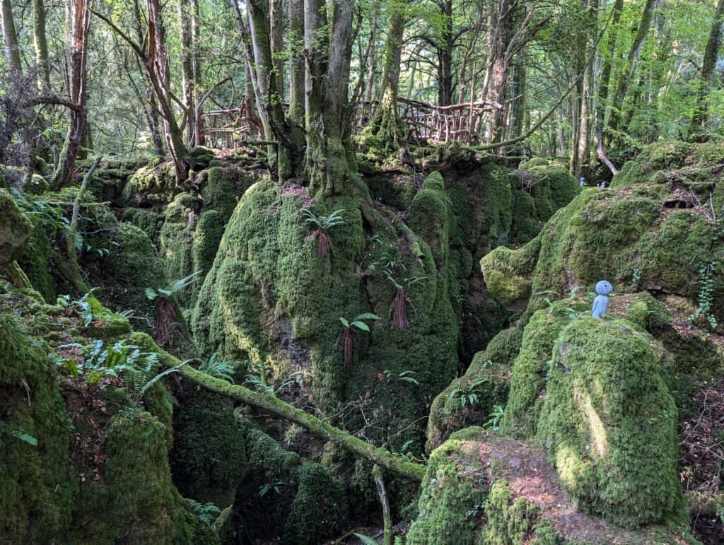 Puzzlewood