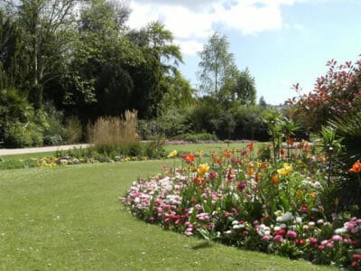 Alexandra Park Hastings