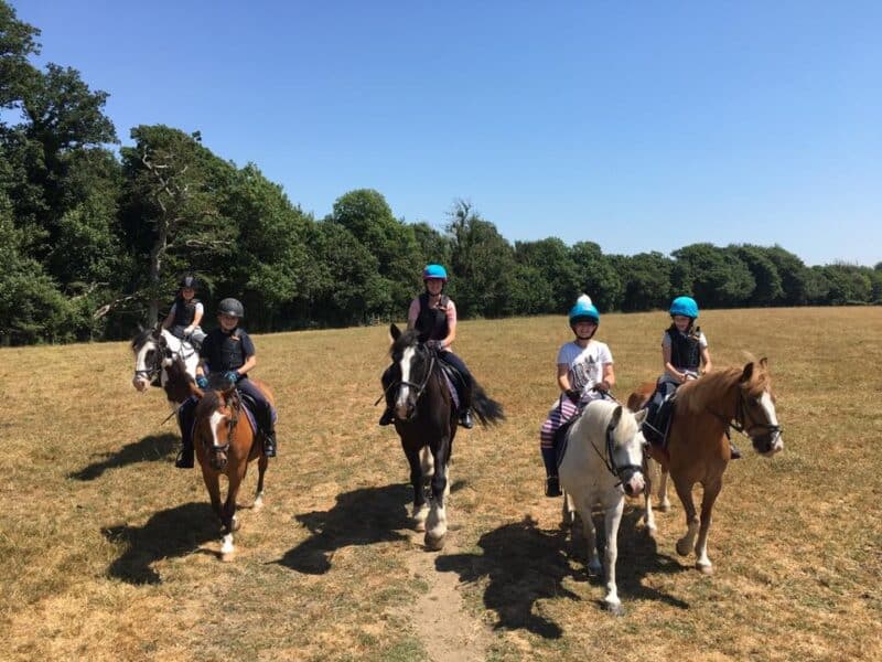 Arundel Farm Riding Centre