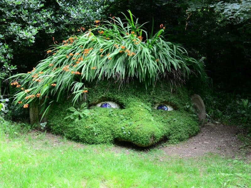 The Lost Gardens of Heligan