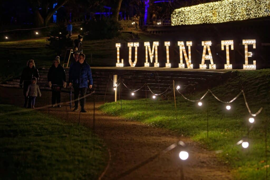 Coombe Luminate