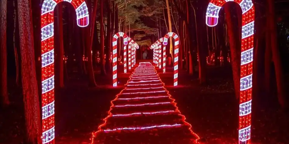 Beacon Light Trail