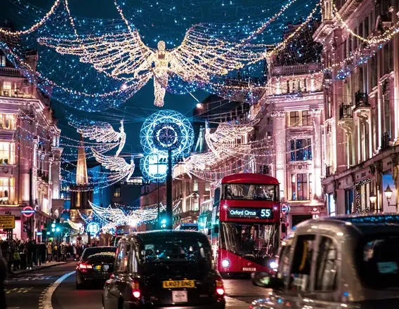 Christmas Lights Bus Tour