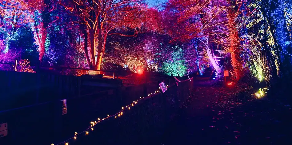 Dartmoor Zoo Light Trail