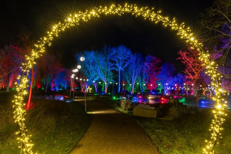 RHS Bridgewater Glow