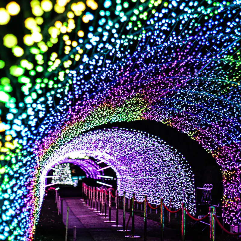 Warwick Light Trail