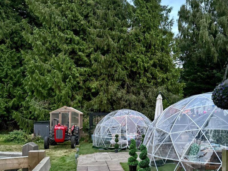 Highland Cow Cottage