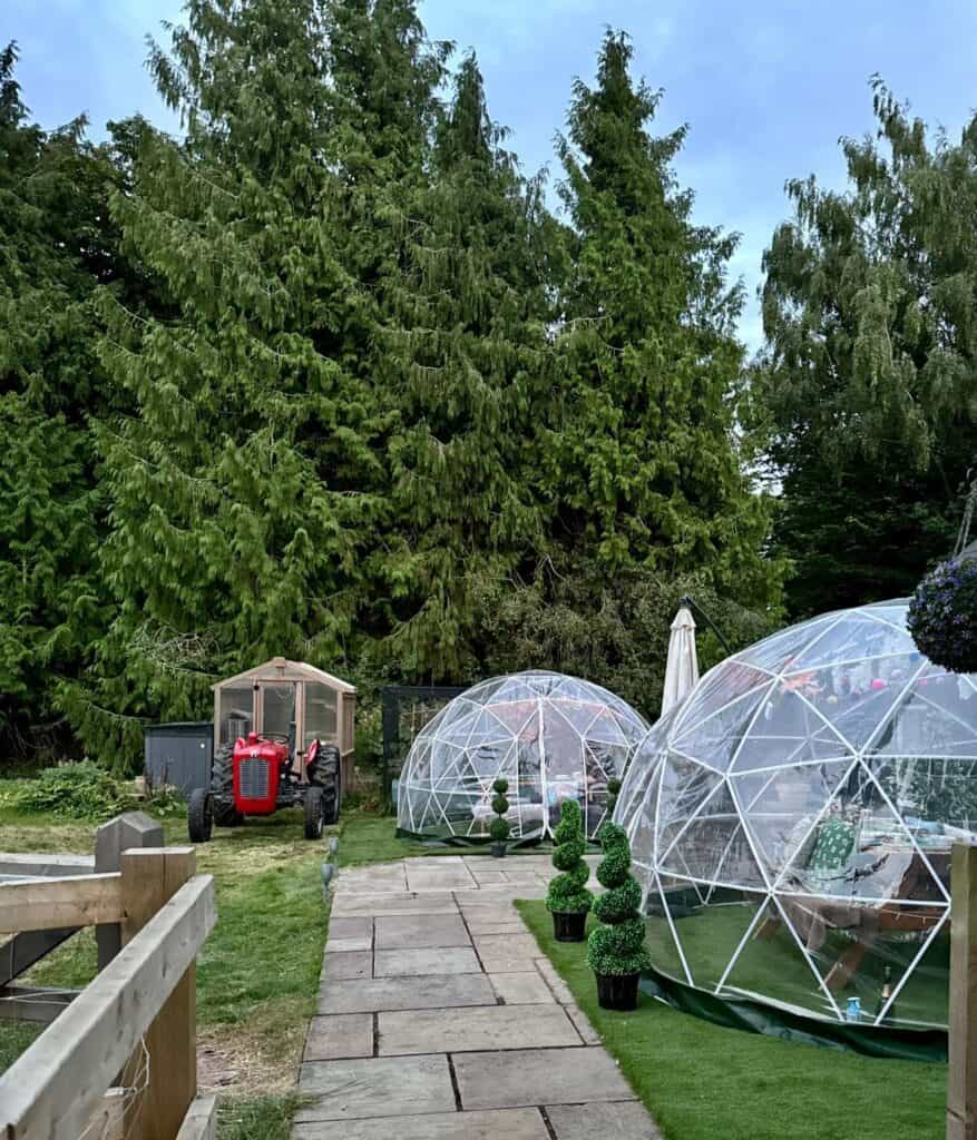 Highland Cow Cottage