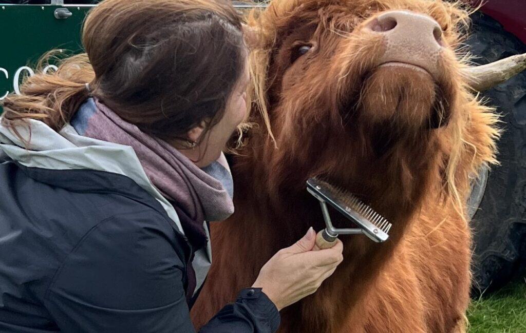 Kitchen Coos and Ewes