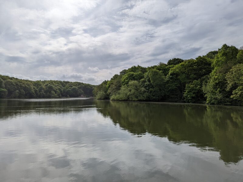 Newmillerdam Country Park
