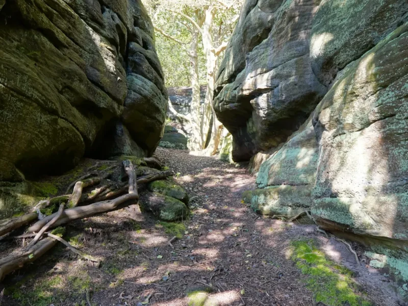 Plumpton Rocks