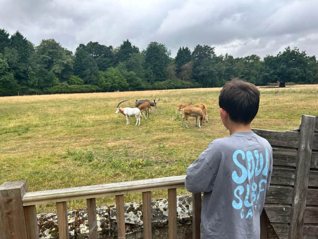 Watatunga Wildlife Reserve