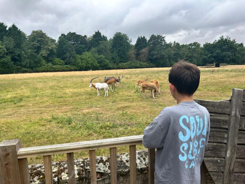 Watatunga Wildlife Reserve