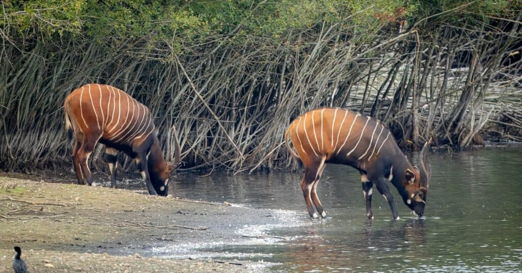 Watatunga Wildlife Reserve