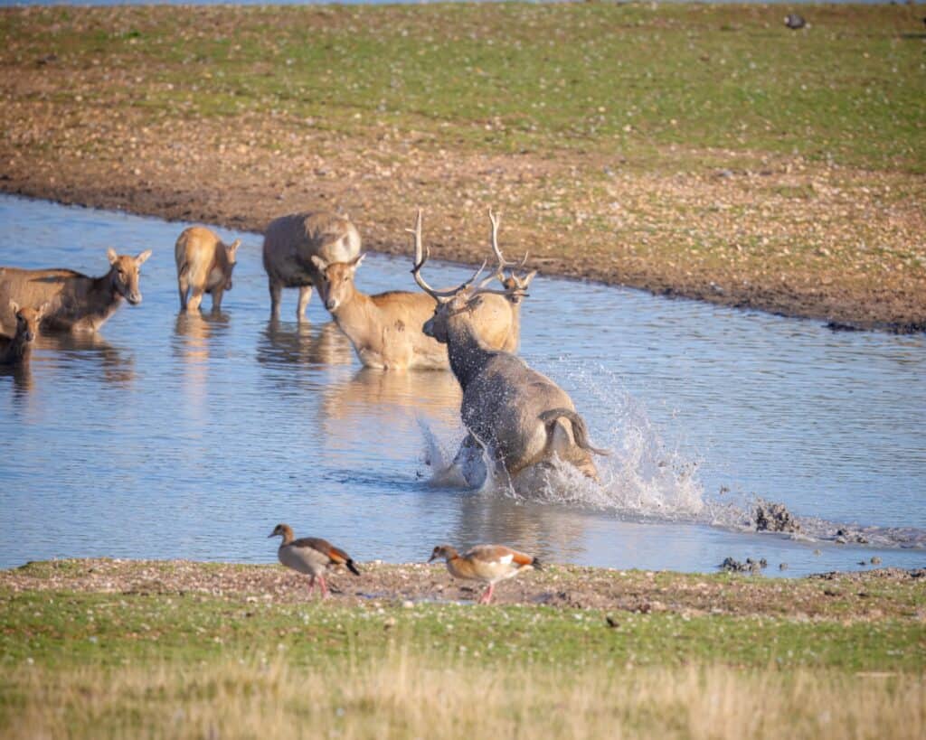 Watatunga Wildlife Reserve