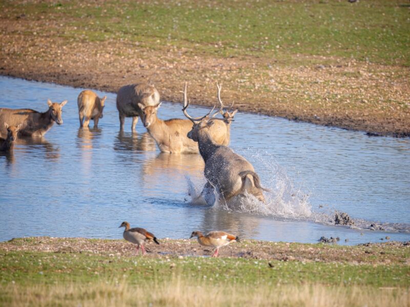 Watatunga Wildlife Reserve
